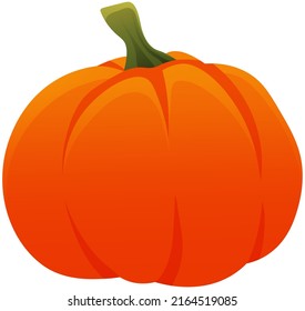 Vector pumpkin, herbaceous plant. Vegetable illustration for farm market menu. Healthy food design. Pumpkin autumn harvesting season. Fresh rounded ripe vegetable, thanksgiving and halloween symbol