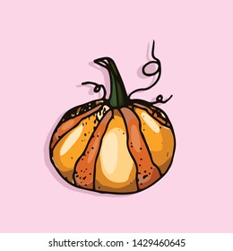 vector pumpkin icon on color background
