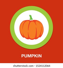 vector pumpkin illustration isolated, halloween holiday symbol