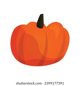 vector pumpkin illustration on white background.