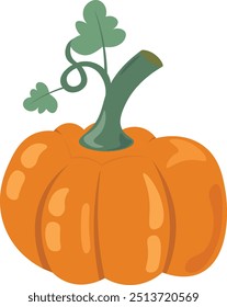 Vector pumpkin illustration set isolated on white