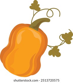 Vector pumpkin illustration set isolated on white