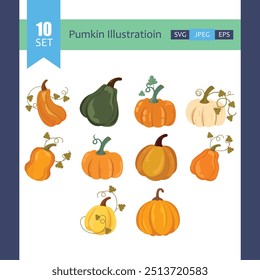 Vector pumpkin illustration set isolated on white