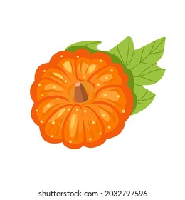 Vector pumpkin isolated on white background.