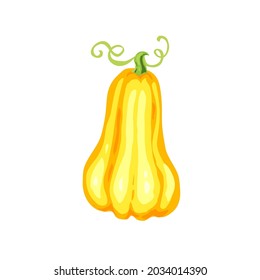 Vector Pumpkin isolated on white background. Autumn vegetable, harvest symbol.