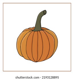 Vector pumpkin isolated on white background. Hand-drawn colored doodle pumpkin. Autumn vegetables. Decoration for Helloween and Thanksgiving.