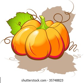 Vector pumpkin. Isolated on white