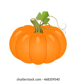 vector pumpkin with leaves  on a white background.Pumpkin icon.