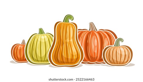 Vector Pumpkin Logo, decorative horizontal poster with cartoon design juicy pumpkins composition with green stem, placard with group of many different halloween pumpkins on white background