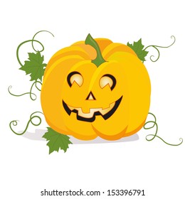 vector pumpkin on white background
