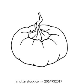 Vector pumpkin on white background. Element for autumn decorative design, halloween, harvest. Healthy food design.