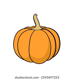 Vector pumpkin is orange with cream colored stems