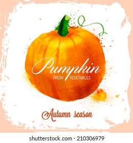 Vector pumpkin pattern, autumn composition of vegetables, orange, red and green color of your fantasies! handiwork.