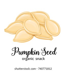 Vector pumpkin seeds in cartoon style for template label, packing and emblem farmer market design