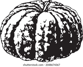 Vektorkürbis-Serie, schwarz-weiß