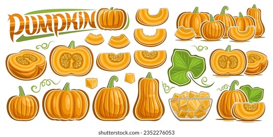 Vector Pumpkin Set, big collection of outline illustration pumpkin and squash vegan compositions, set of cut out various organic fruits with raw seeds, chopped gourd in glass plate and text pumpkin