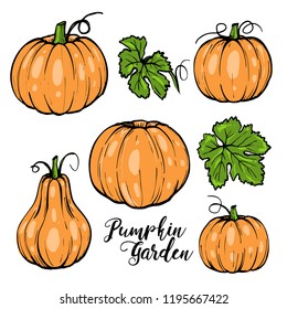 vector pumpkin set for Halloween with green leaves and typography