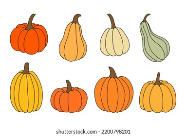 Juego de calabaza vectora. Ilustraciones dibujadas a mano para el diseño decorativo del otoño. Colección de Halloween.