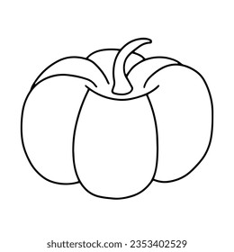 Vector pumpkin sketch doodle illustration