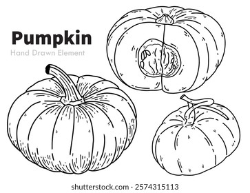 Vector pumpkin sketch, hand drawn black ink design. Can be edited, packaging design, fruit design ornaments, agriculture, harvest, fruit, diet, vegetarian