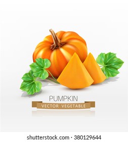 Calabaza vectora y rodajas de calabaza aisladas sobre fondo blanco