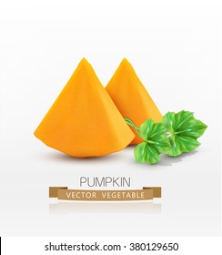 Vector pumpkin slices isolated on white background