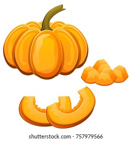 Vector pumpkin and slices isolated on white background