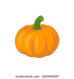 Vector pumpkin vegetable cartoon illustration