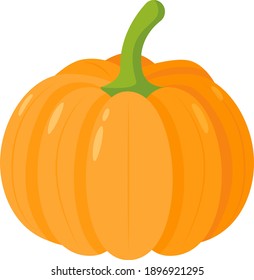 Vector pumpkin. Vegetable illustration for farm market menu. Healthy food design