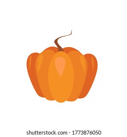 Vector  pumpkin.Hand drawn vector illustration.banner, restaurant menu, farmers market and organic food store.Halloween pumpkin. Feast of the dead.Halloween pumpkin. Feast of the dead.Orange vegetable