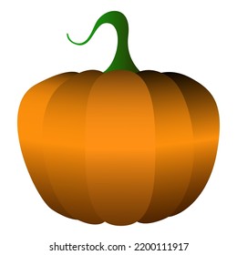 Vector pumpkins isolated on a white background