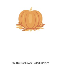 Vector  of  pumpkins isolated on a white background with copy space