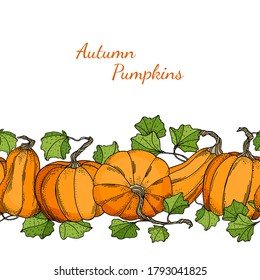 Vector pumpkins seamless border. Autumn background template with gourds and leaves isolated on white. Hand drawn vintage vegetables for banner, poster, card, party, Halloweeen, Thanksgiving