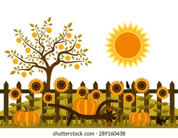 vector pumpkins and sunflowers along picket fence