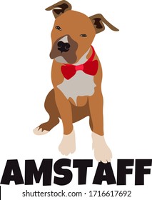 vector with puppy of american staffordshire terrier (amstaff) very cute for printing