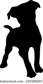 Vector puppy dog standing on white background