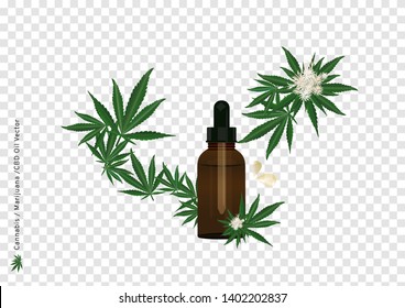 A vector of pure extract oil from Cannabis or Marijuana flower and leaf on transparency background with CBD strain for medical treatment by drop under the tongue