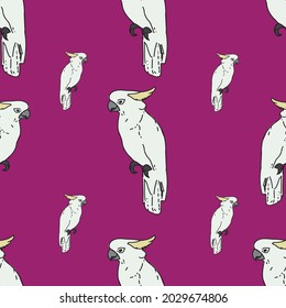 Vector purple background tropical birds, parrots, exotic cockatoo birds. Seamless pattern background