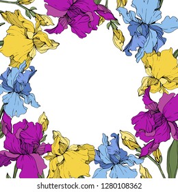 Vector Purple, blue and yellow iris. Floral botanical flower. Wild spring leaf wildflower isolated. Frame border ornament square.