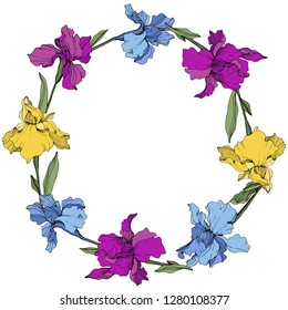 Vector Purple, blue and yellow iris. Floral botanical flower. Wild spring leaf wildflower isolated. Frame border ornament square.