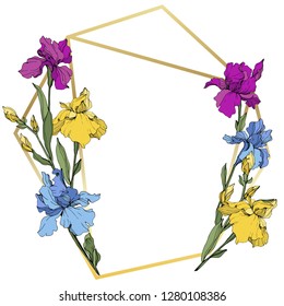 Vector Purple, blue and yellow iris. Floral botanical flower. Wild spring leaf wildflower isolated. Frame border ornament square.