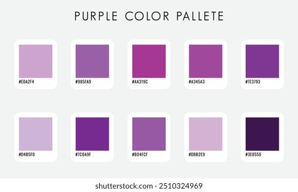 Colección de paleta de color púrpura de Vector