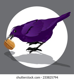 Vector purple crow eating nut.