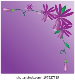vector purple flowers on purple background