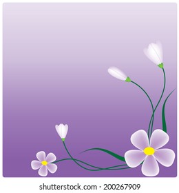 Vector purple flowers on the  purple background