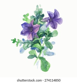 
Vector purple flowers, watercolor painting of flowers in green