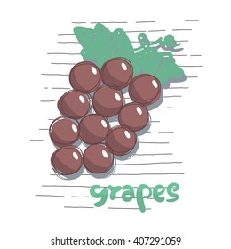 Vector purple grape on striped note paper background.