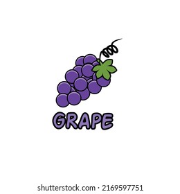 Vector purple grapes on white background 
