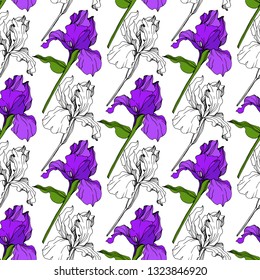 Vector Purple Iris floral botanical flower. Wild spring leaf wildflower isolated. Engraved ink art. Seamless background pattern. Fabric wallpaper print texture.