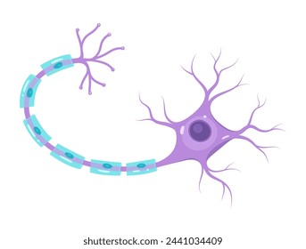 Vector purple neuron isolated on white background. Educational illustration